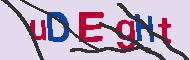 Code Captcha